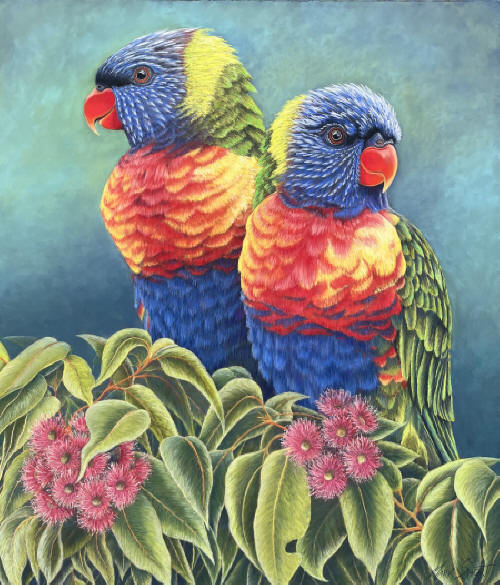 RAINBOW LOREKEETS